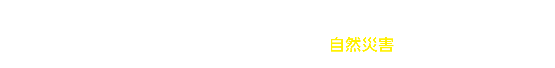 ヤマダの災害安心保険 地震・洪水・落雷・大雪などの自然災害から