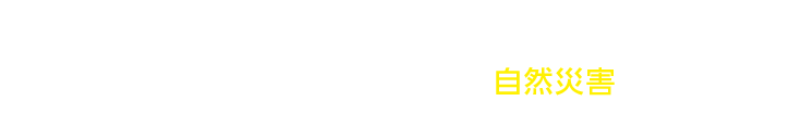 ヤマダの災害安心保険 地震・洪水・落雷・大雪などの自然災害から