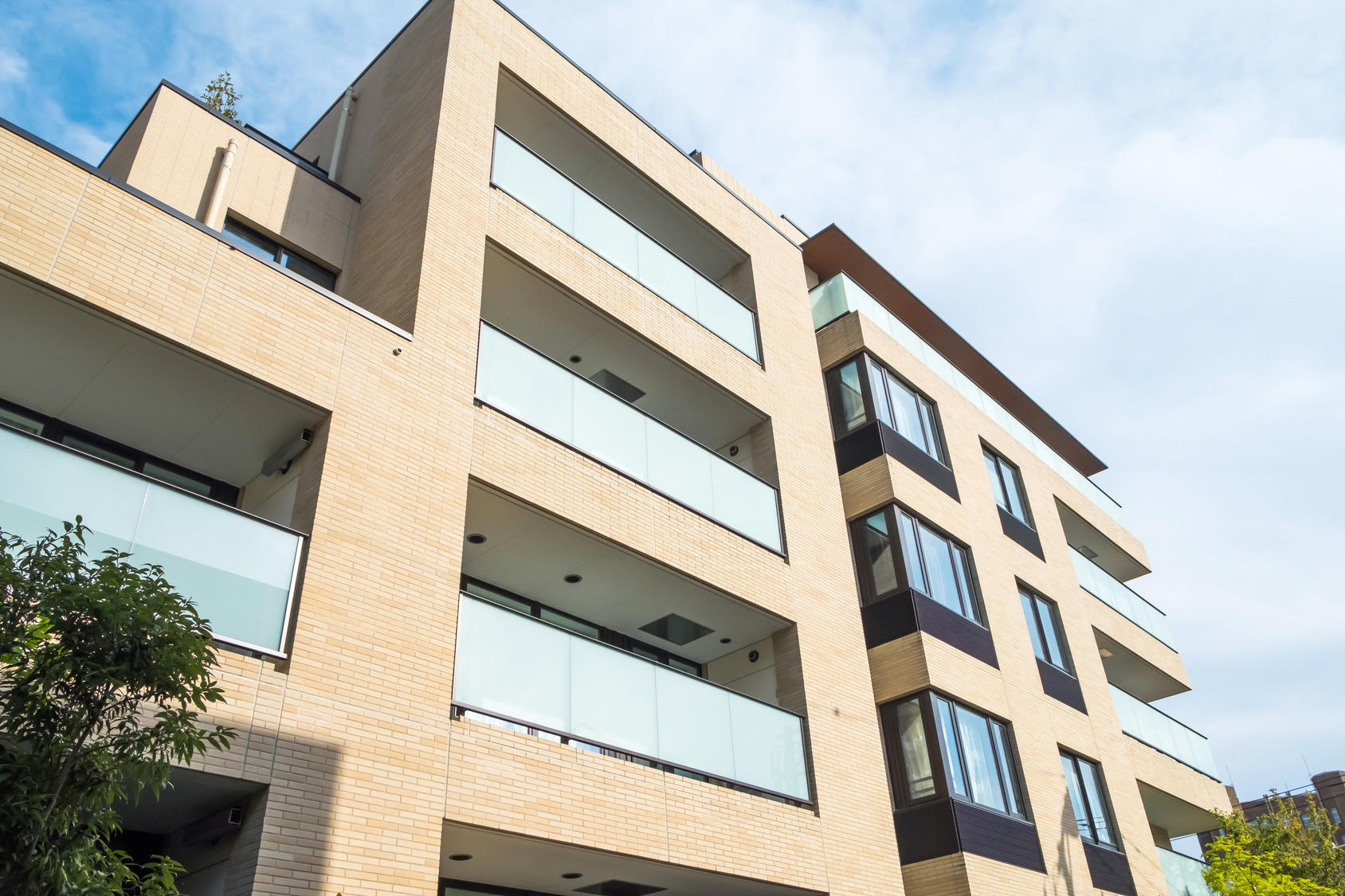 購入のメリット/デメリット